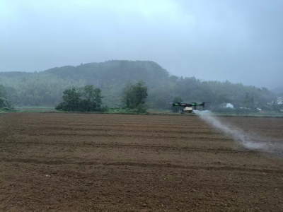 咸安区润田种植专业合作社：“机械化整地+无人机飞播”，油菜种植焕新颜