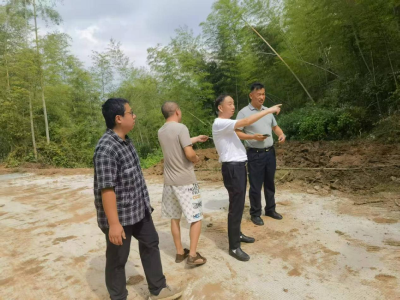 汀泗桥镇：守一方绿色  护一方安全