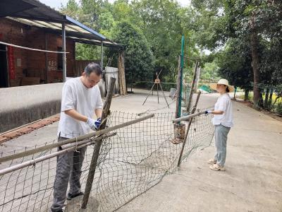 你的难题我来解决 八旬老人点赞“暖心挪移”