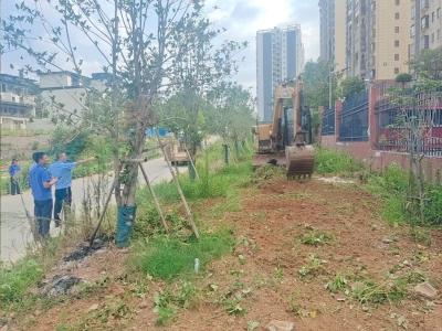 咸安多部门联手整治“跨界”菜地 千余平方米荒地即将复绿
