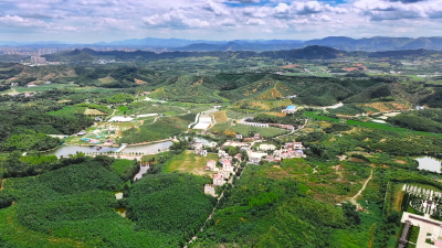 【美丽乡村】向阳湖镇广东畈村上屋朱自然湾