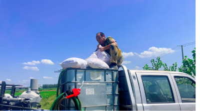 官埠桥镇：科技赋能田间管理，“一喷多促”助秋粮丰产