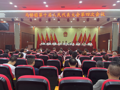 咸安区马桥镇召开第十届人民代表大会第四次会议