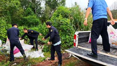 咸安城管：一线服务解难题 主动清运护环境