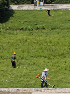 咸安区南川水库管理局：精心养护草坪 扮靓大坝环境