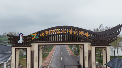 护航暖重阳！咸安区经发集团深入向阳湖湿地检查活动保障工作