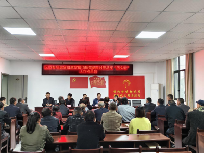 区委专项巡察组进驻横沟桥镇杨畈村开展“回头看”巡察工作