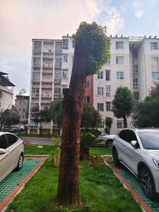 向上生长，便是青春