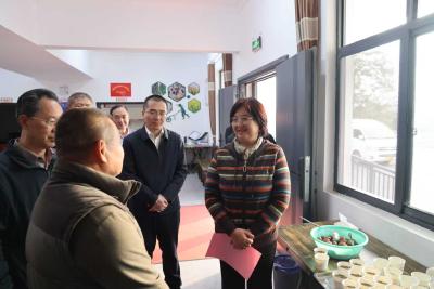 省老促会会长王玲带队到咸安调研