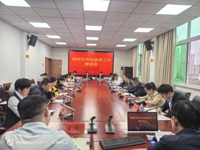 市区一体协同发力 银企对接破解专利质押难题