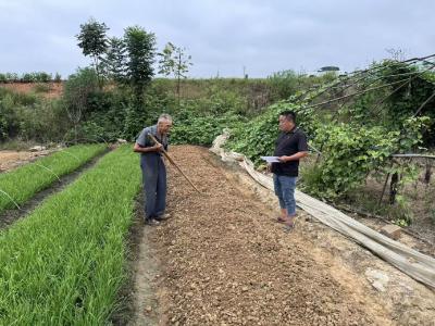 向阳湖镇：多管齐下，织密秸秆禁烧“防护网”