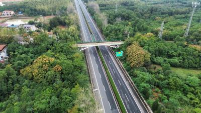 向阳湖镇启用无人机巡航 筑牢秸秆禁烧“防火墙”