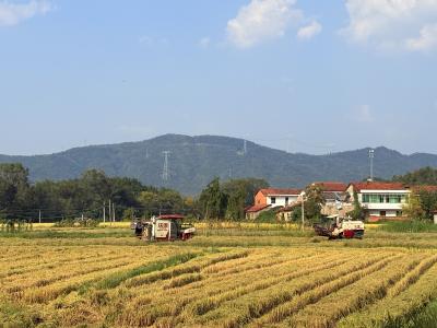 大幕乡：稻油轮作绘“丰”景 机械赋能促增收