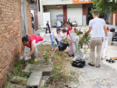 凤凰社区：校社同心治环境，劳动实践育新人