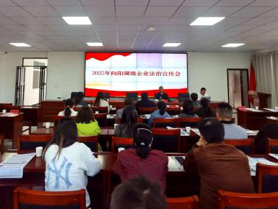 向阳湖镇：政企同心筑防线 共建平安家园