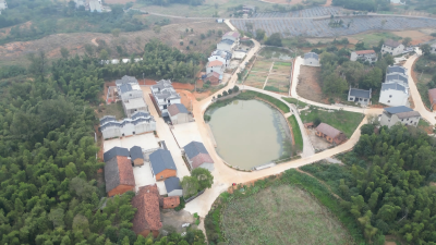 咸安陈北塘：党建引领破困局 治理创新激活力