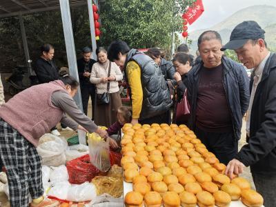 甜了舌尖 鼓了钱袋 还没吆喝就被抢光