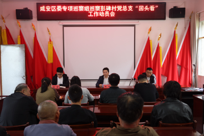 咸安区委专项巡察组巡察彭碑村党总支“回头看”工作动员会召开