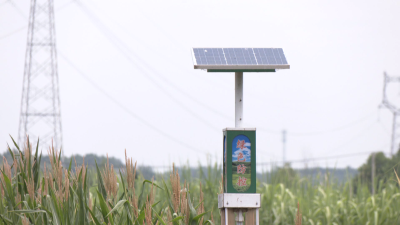 咸安：农业社会化服务获农户点赞 年服务面积超20万亩 