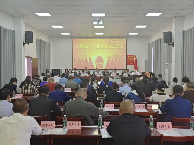 双溪桥镇召开第十届人民代表大会第三次会议