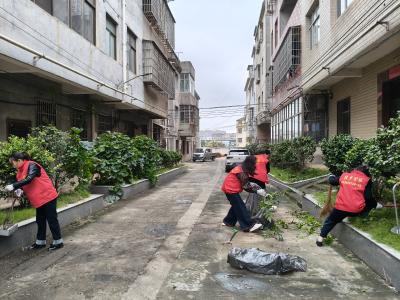 向阳湖镇：社区干部化身园艺师 绘就绿色和谐新画卷