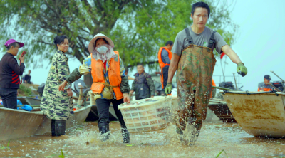 央视聚焦咸宁咸安：鱼跃人欢 斧头湖正式开湖捕捞