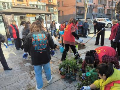 文笔路社区：邻里同心筑花居 东兴花园再添新景致