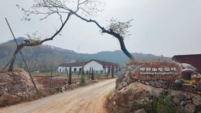 咸安区图书馆联合小森林咖啡馆共建“书香驿站”