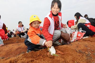 咸宁咸安：秋收挖薯乐 亲子乐翻天