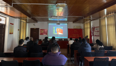 温泉街道白茶社区：“光明影院”开映，让视障群体触摸光影的温度