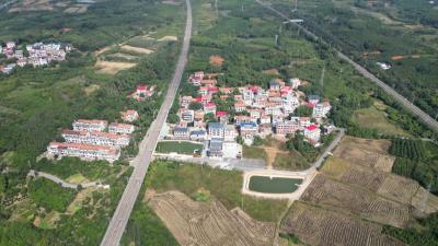 贺胜桥镇桃林村：和美乡村绘新卷 产业兴旺促振兴