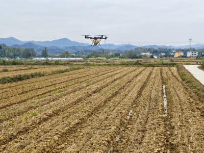 浮山街道白鹤村：科技赋能，绘就智慧农业新图景