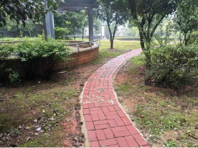 三方联动解出行困局 便民步道暖民心