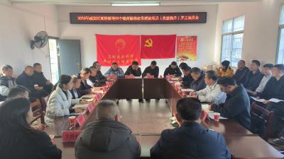 2025年咸安区高标准农田建设项目正式开工