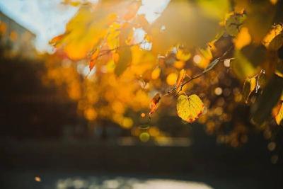 诗润横沟醉初冬