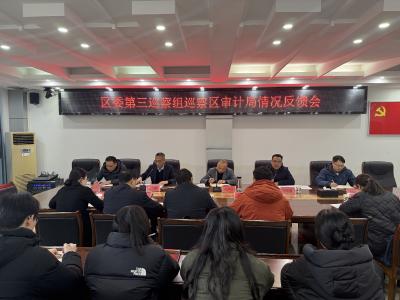 区委第三巡察组向区审计局反馈巡察情况