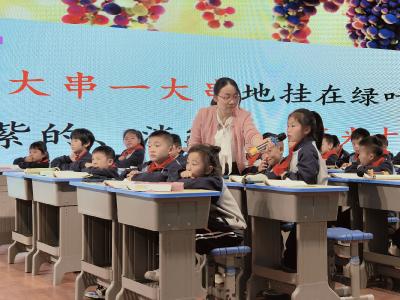 基层人物 | 谢小红：三尺讲台廿八载 一颗初心暖杏坛