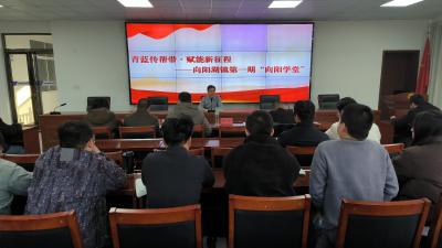 向阳湖镇：以学赋能 锻造实干先锋 