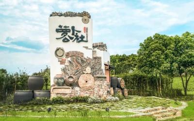 “风起高桥·振兴乡村”2025年高桥镇迎新助农活动