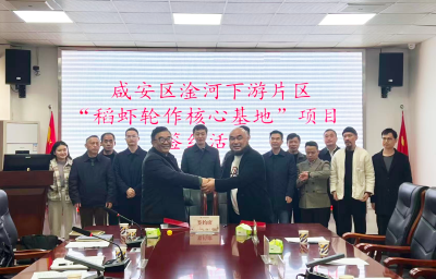 助力打造特色农业产业——咸安区淦河下游片区“稻虾轮作核心基地”项目成功签约