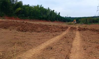 汀泗桥镇马鞍村：沃野添新 荒地生金