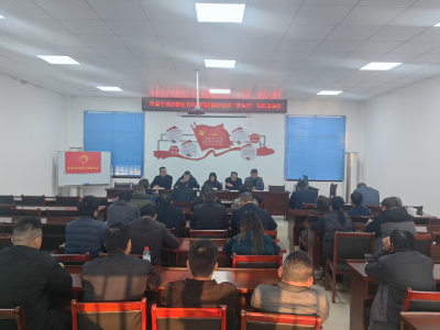 区委专项巡察组到马桥镇高赛村开展巡察“回头看”反馈会