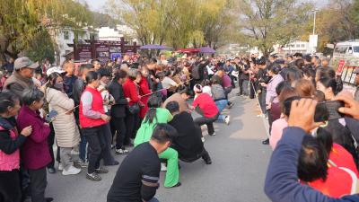 桂花镇乡村邻里节：淳美乡风润心田 乐和邻里促文明