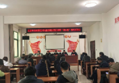 区委专项巡察组向向阳湖镇甘棠村反馈巡察情况