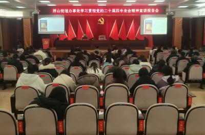 浮山街道举行学习贯彻党的二十届四中全会精神宣讲会