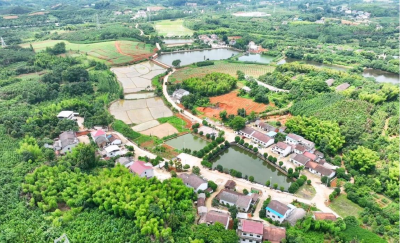 党建引领聚合力 乡村振兴谱新篇 咸安区汀泗桥镇黄荆塘村四组蜕变之路