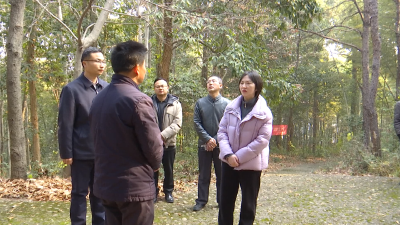 区领导开展第四季度巡林巡河工作 要求筑牢生态安全屏障