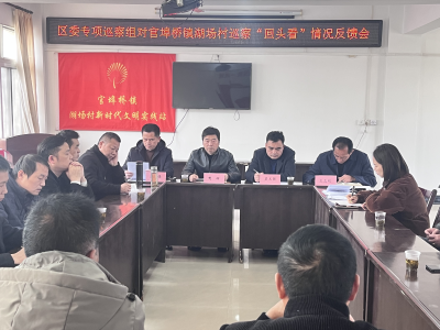 区委专项巡察组向官埠桥镇湖场村反馈巡察情况