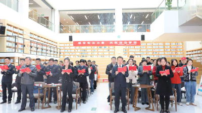 咸安区人大多维宣传推动宪法精神深入人心