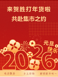 来贺胜打年货啦！贺胜桥镇年货市集，解锁新年味～